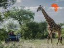 african-travel-offer-1000